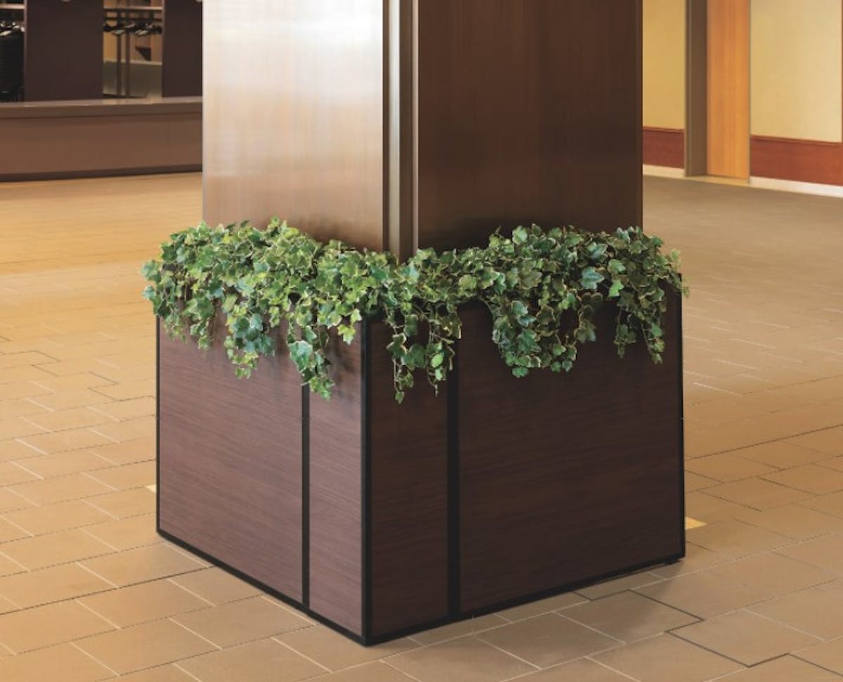 エントランス 鉢植え