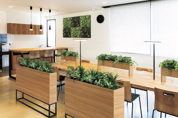 人工観葉植物は店舗やオフィスで大人気！おすすめの商品も紹介