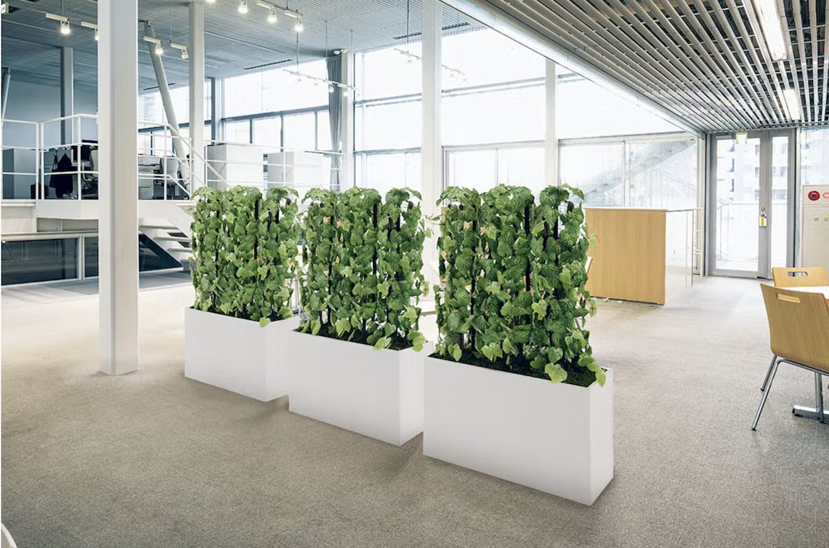 樹木パーテーション