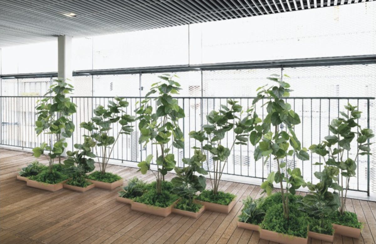 フェイクグリーン_人工樹木