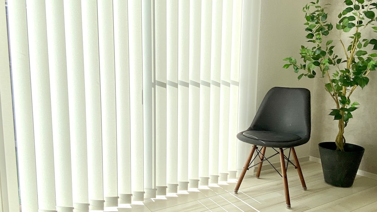 リビング 観葉植物