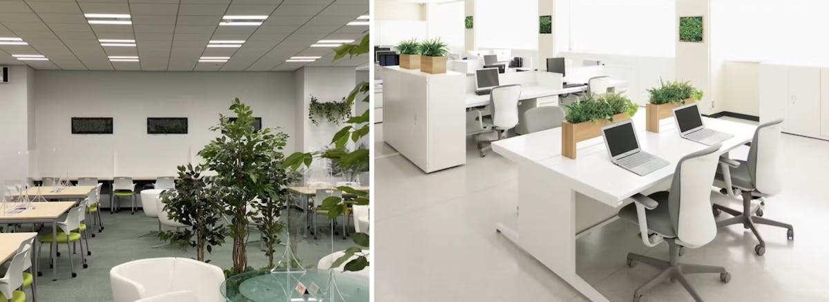 フェイクグリーン 人工観葉植物 オフィス