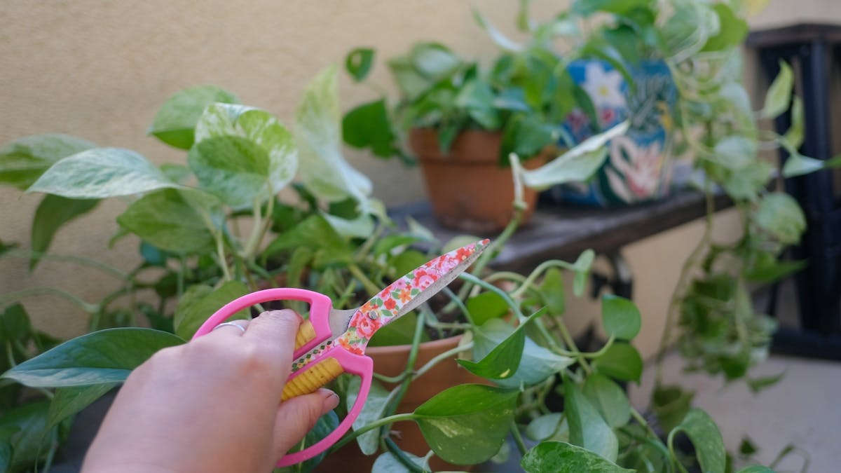 フェイクグリーン 人工観葉植物 オフィス