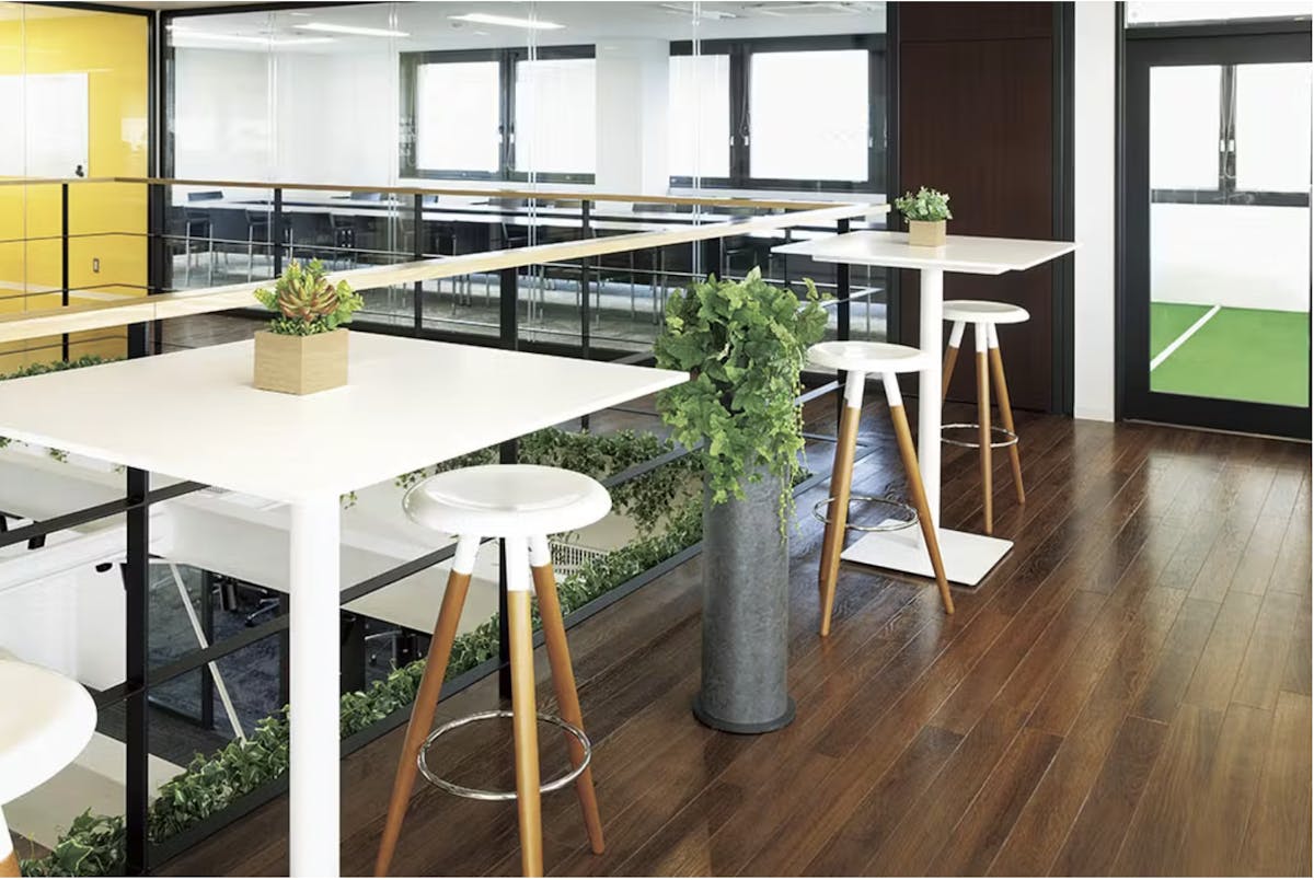 オフィス 観葉植物