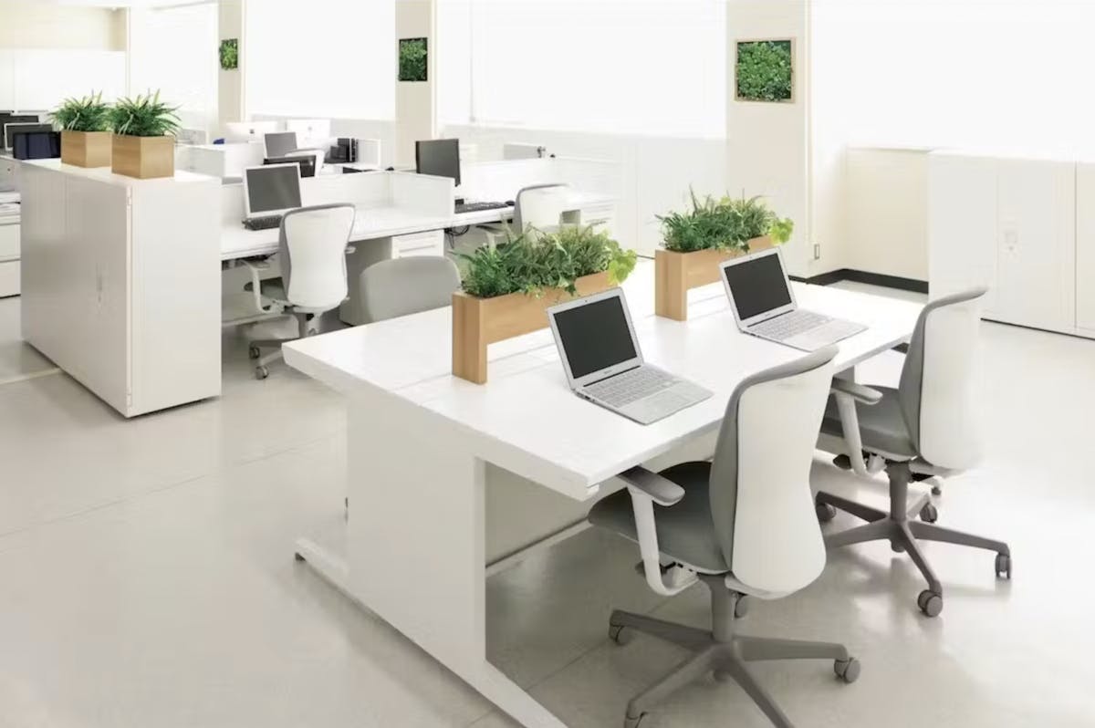 卓上 フェイクグリーン