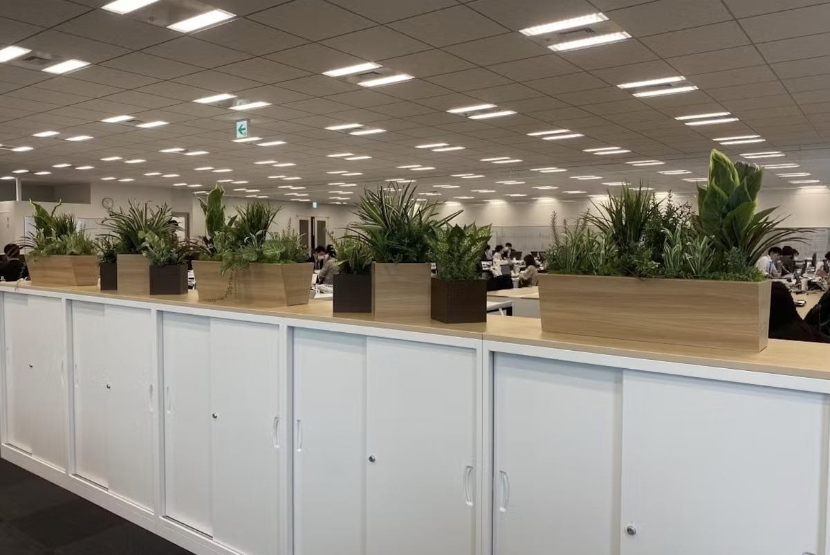 卓上 フェイクグリーン