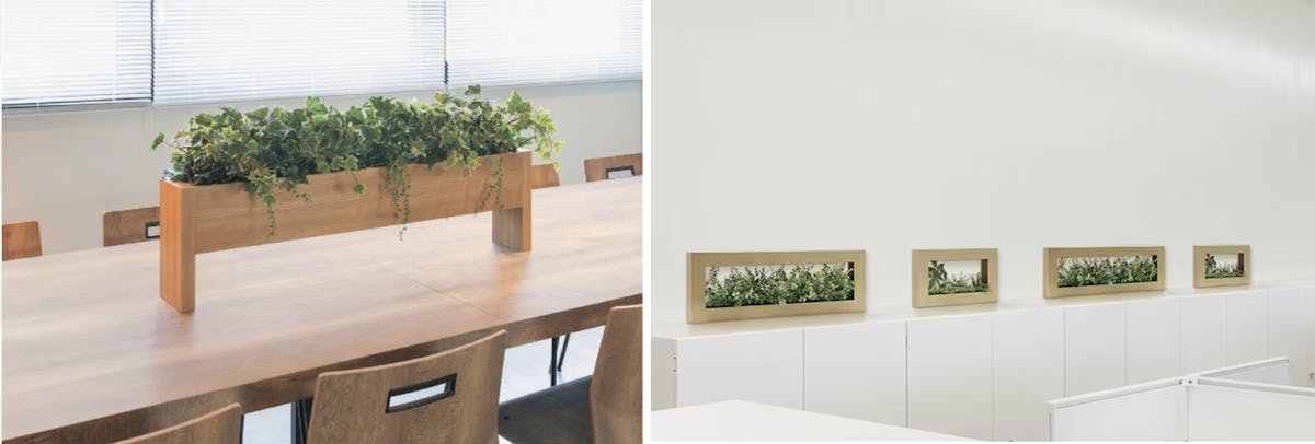 卓上 フェイクグリーン