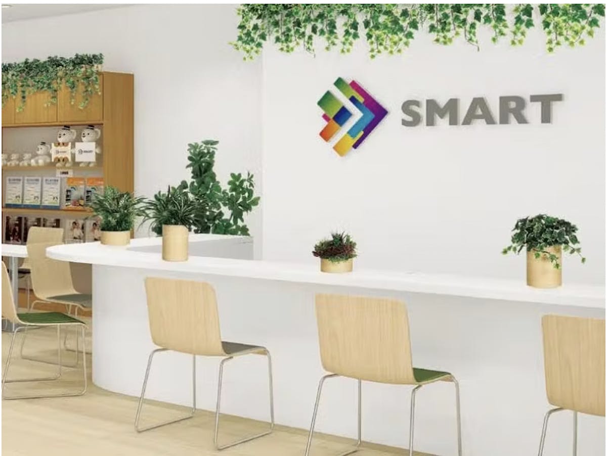 卓上 フェイクグリーン