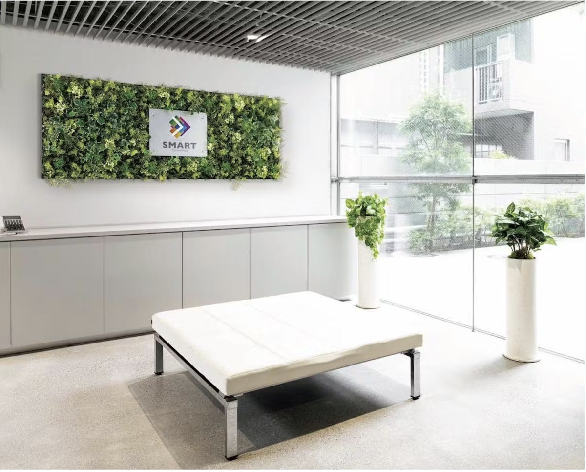 人工観葉植物 エントランス