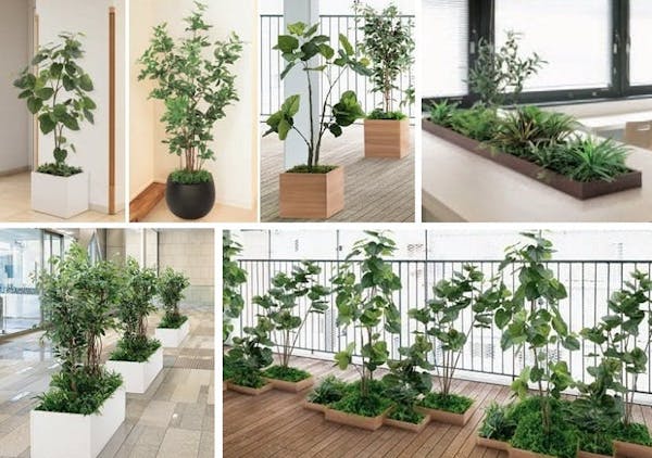 グリーンモード通信【オフィス空間で大人気!!人工観葉植物の種類と選び方をご紹介！】
