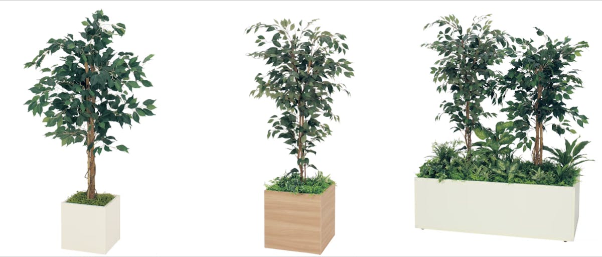 フィカスベンジャミン 人工樹木