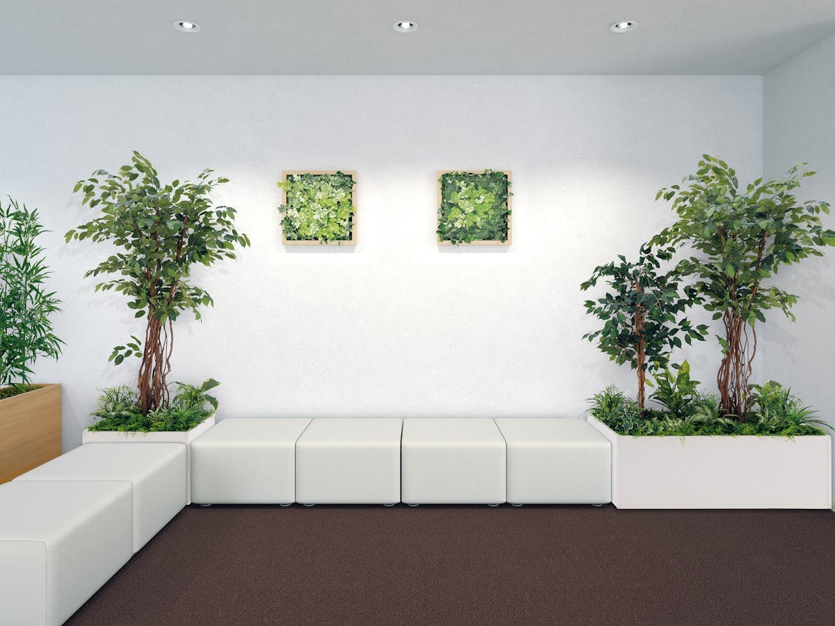 人工樹木 フィカスベンジャミン