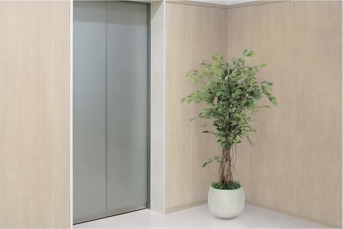 フェイクグリーン フィカスベンジャミン