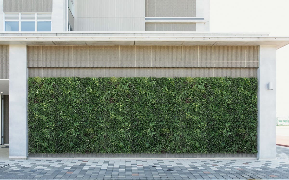 壁面緑化 屋外