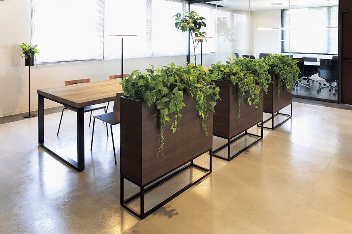 植栽　フェイク