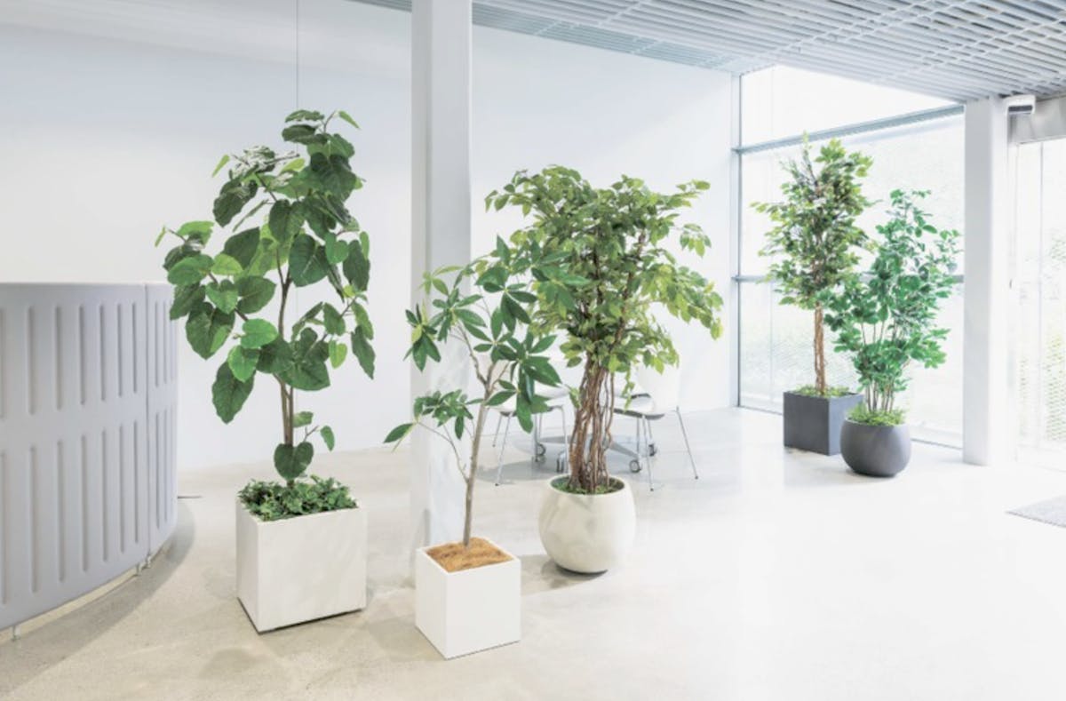 フェイクグリーン 植栽 プランター