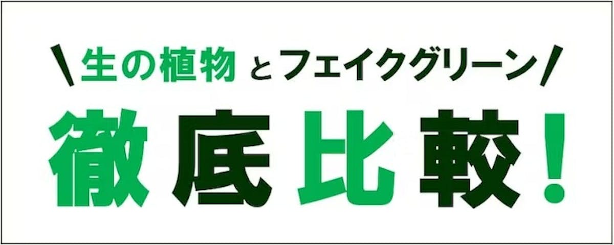 徹底比較