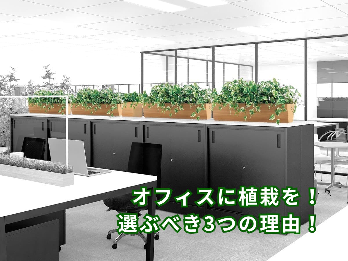 フェイクグリーン　