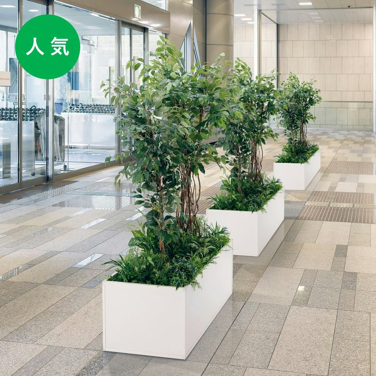 ボリューム感が魅力の寄せ植えプランター_人気