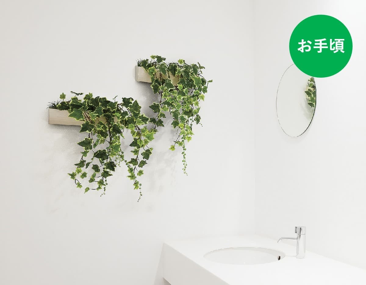 手軽さが魅力の壁掛けグリーン_お手頃