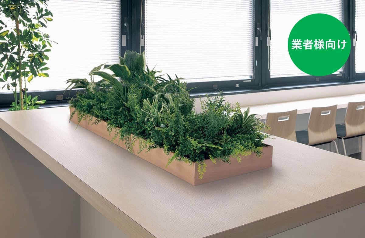 既存プランターや造作什器用の「アレンジグリーン」_業者様向け