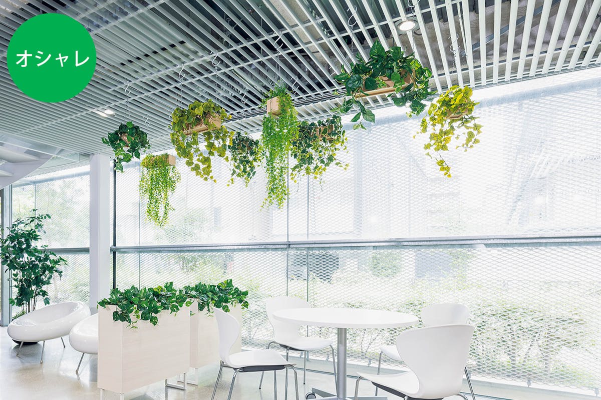 立体感ある演出ができるハンギンググリーン