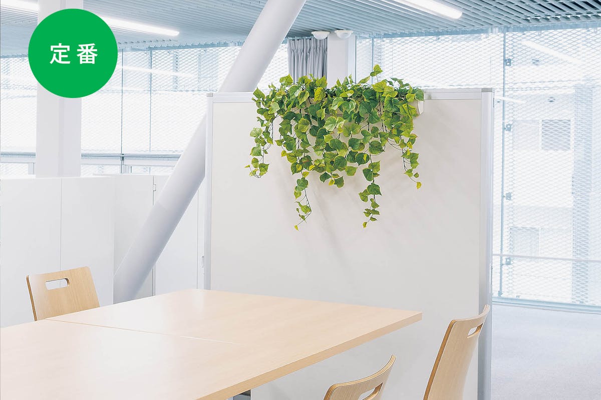 既存のパーテーションに引掛けてプチ緑化