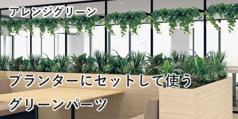 アレンジグリーン