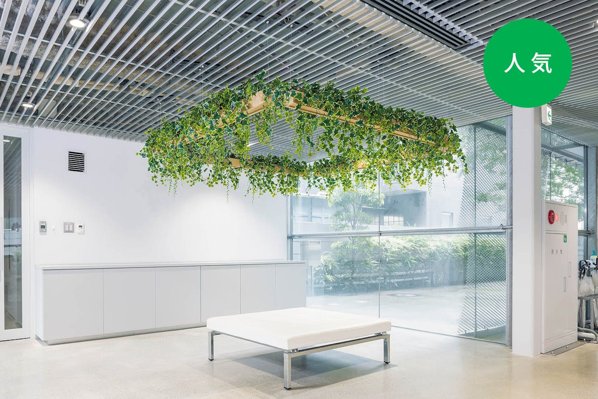 四角に囲ったしだれポットでグレード感のある演出