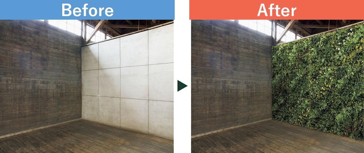 フェイクグリーンを使った壁面緑化のビフォーアフター