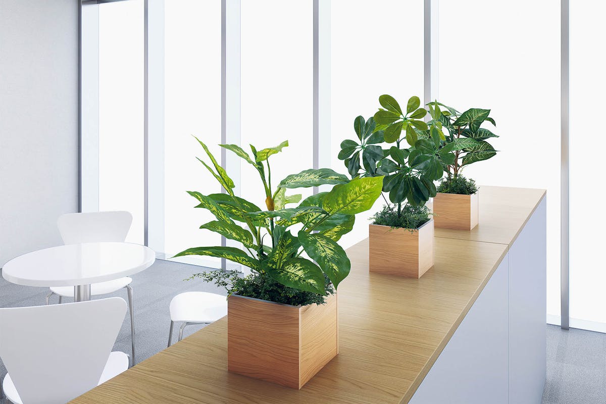 オフィス_キャビネット_卓上ポット