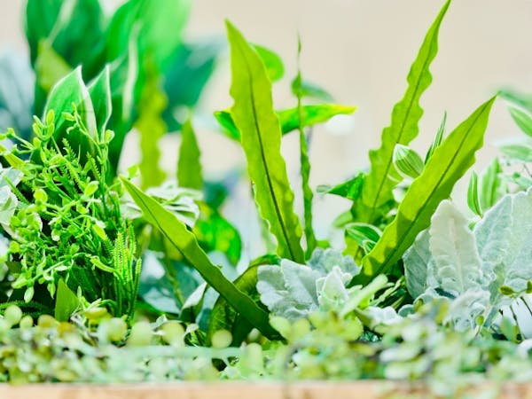 植栽の水やり時間ゼロで楽しむフェイクグリーンの魅力