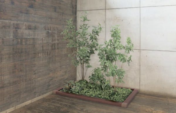 植栽なら常緑が楽しめるフェイクグリーンがおすすめ