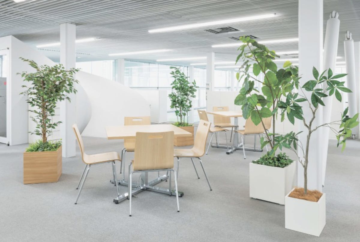 フェイクグリーン　植栽