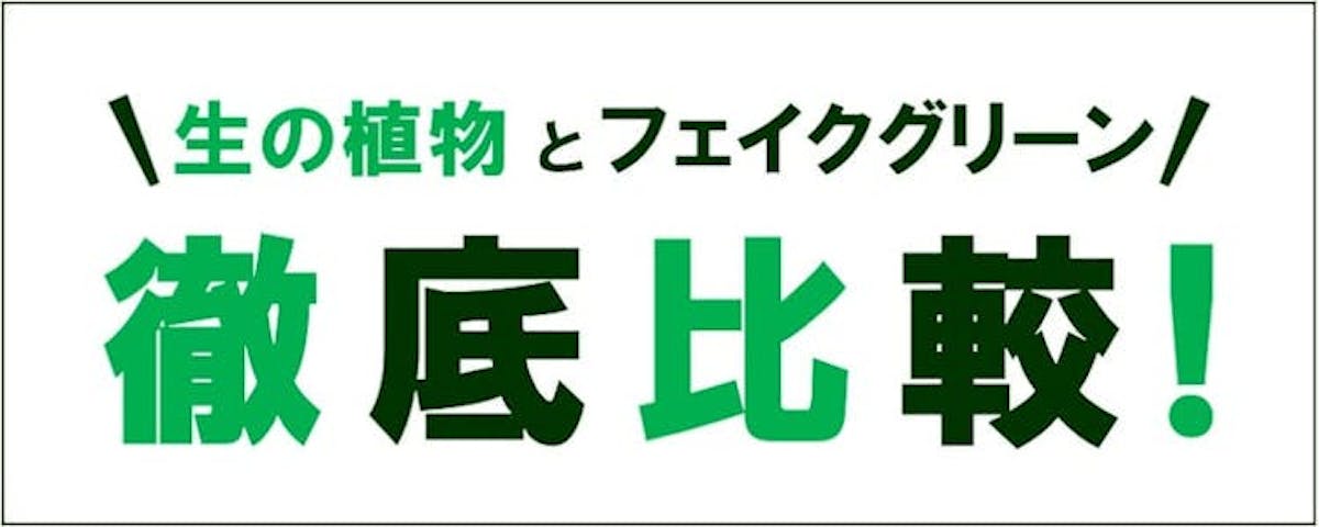 フェイクグリーンと生の植物の比較