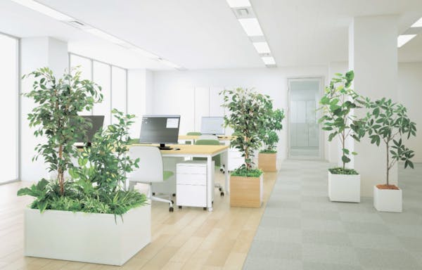 植栽のメンテナンス悩みから解放！フェイクグリーンなら手間いらずで快適
