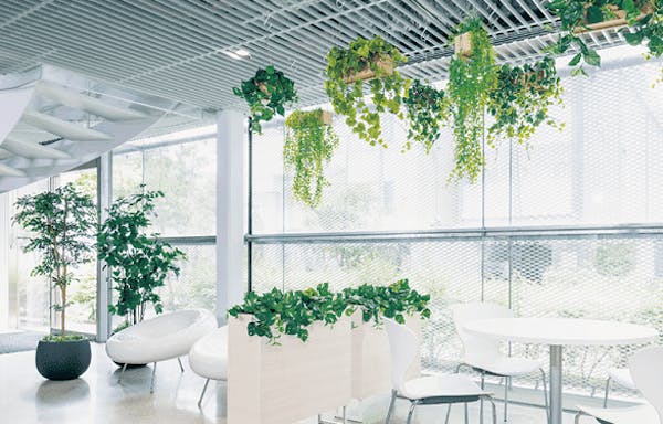手入れ不要の植物のフェイクグリーンで叶えるストレスフリー空間