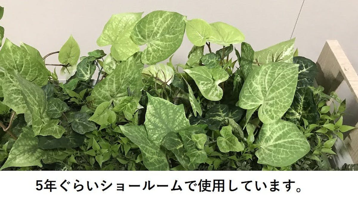 フェイクグリーン