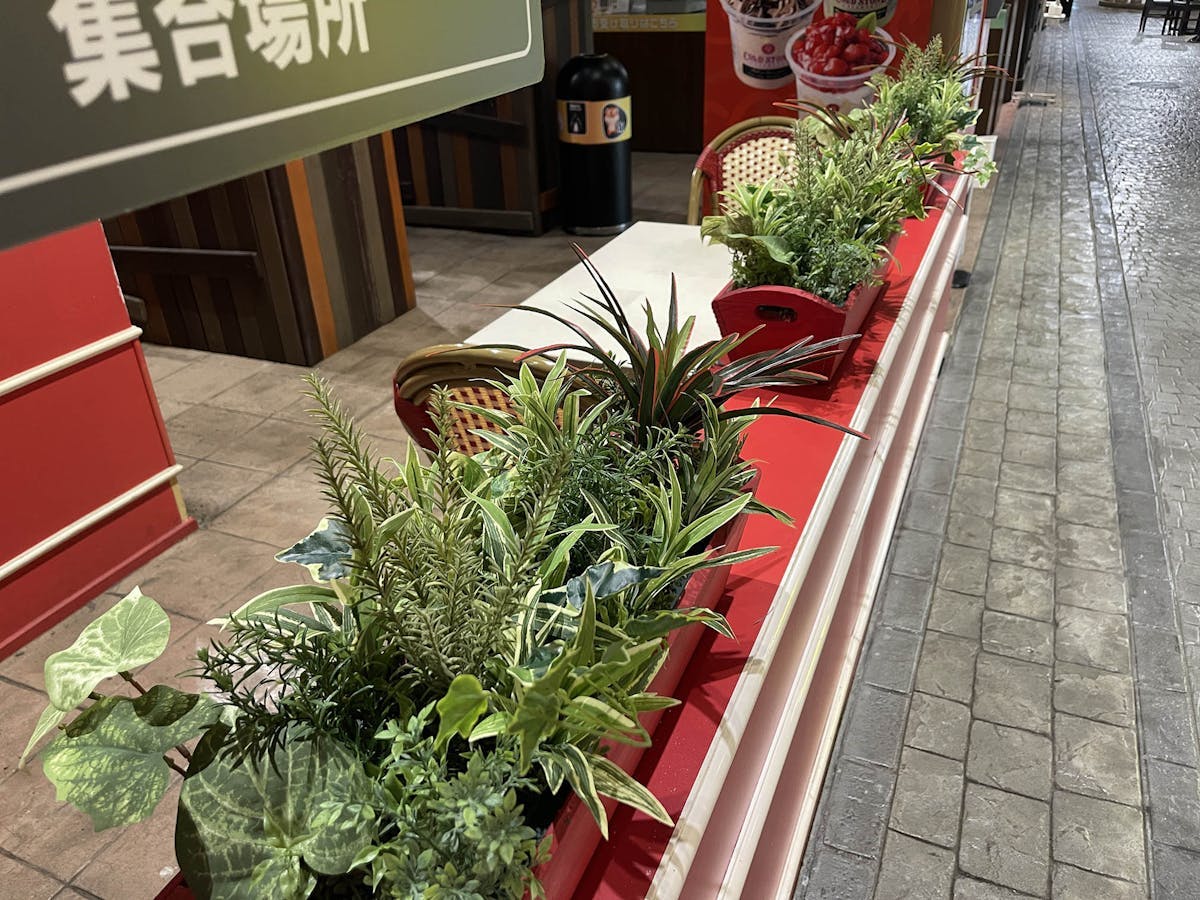 フェイクグリーン
