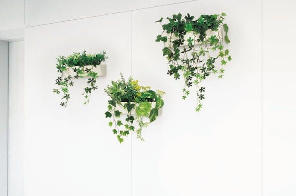 空間が一気におしゃれに！マグネット観葉植物の魅力とは