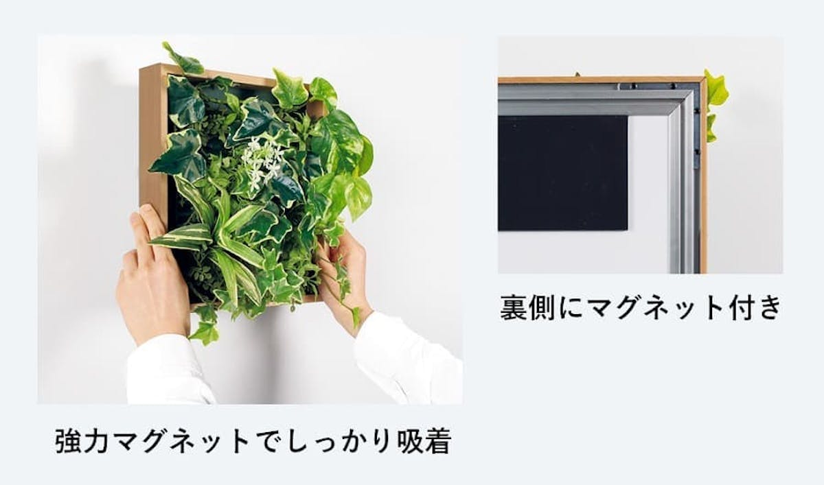 マグネットグリーン