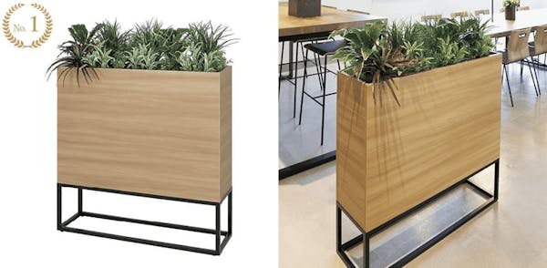 グリーンモード通信【オフィス緑化におすすめ！人気商品ランキング!!】