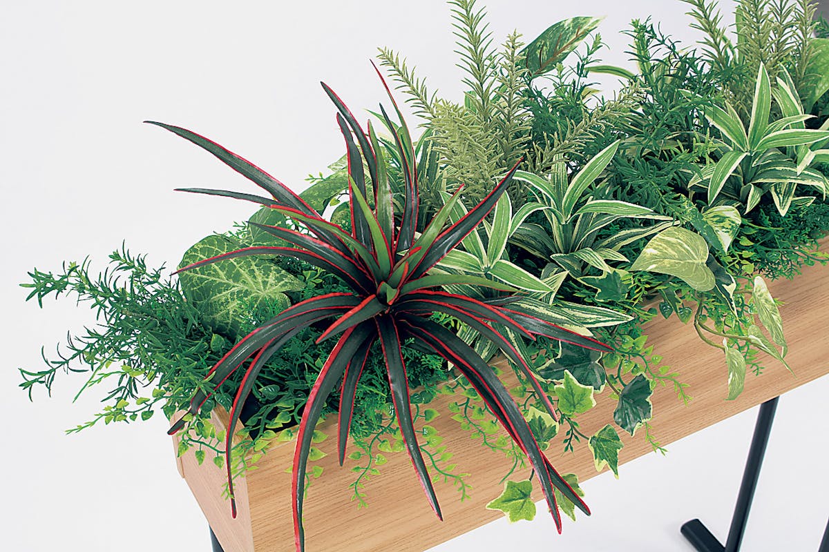 フェイクグリーン