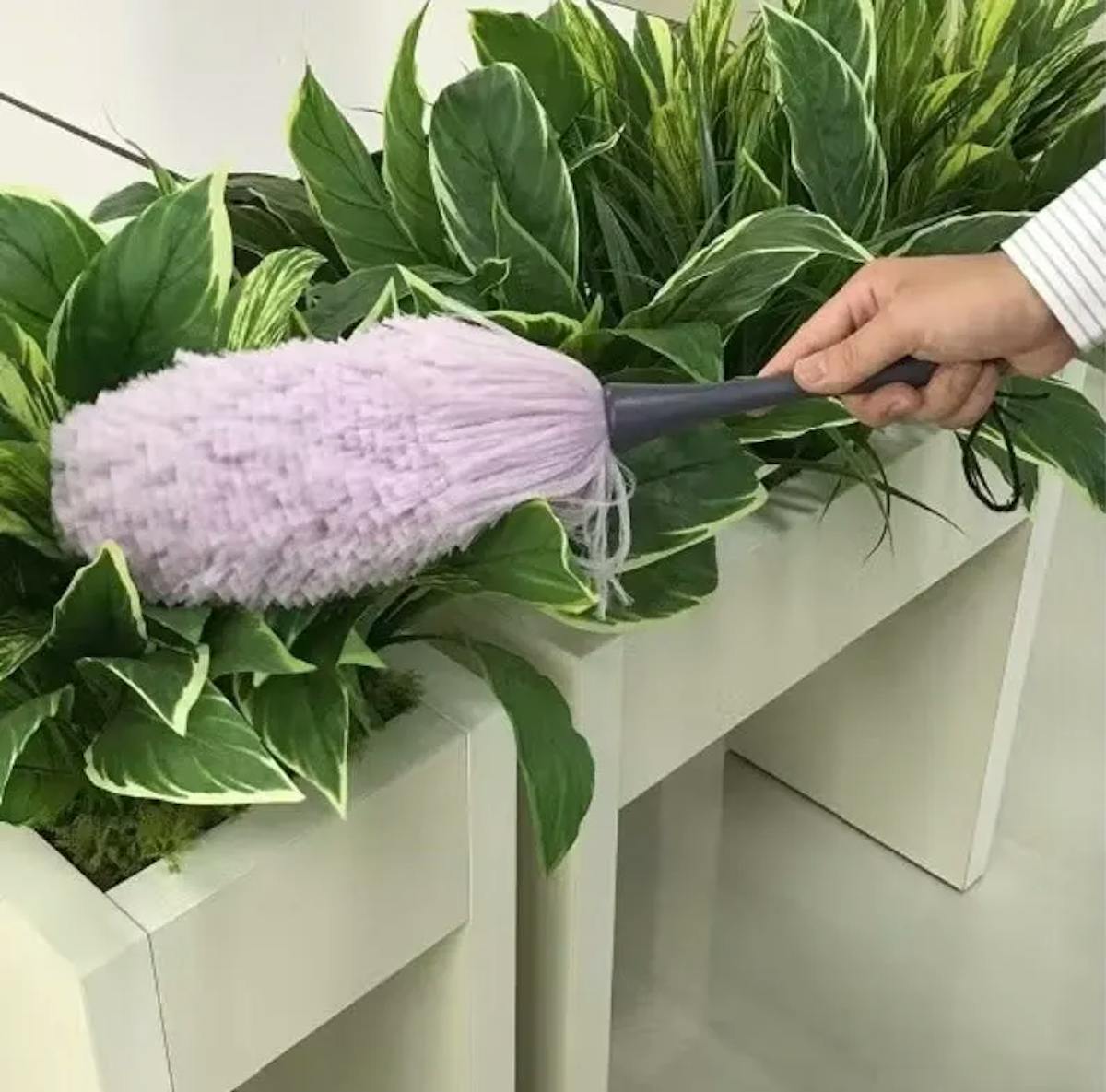 オフィス　フェイクグリーン　掃除