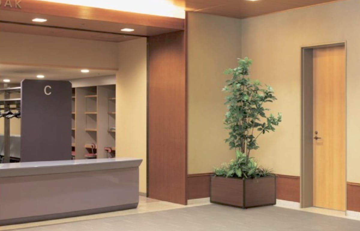 エントランス　フェイクグリーン