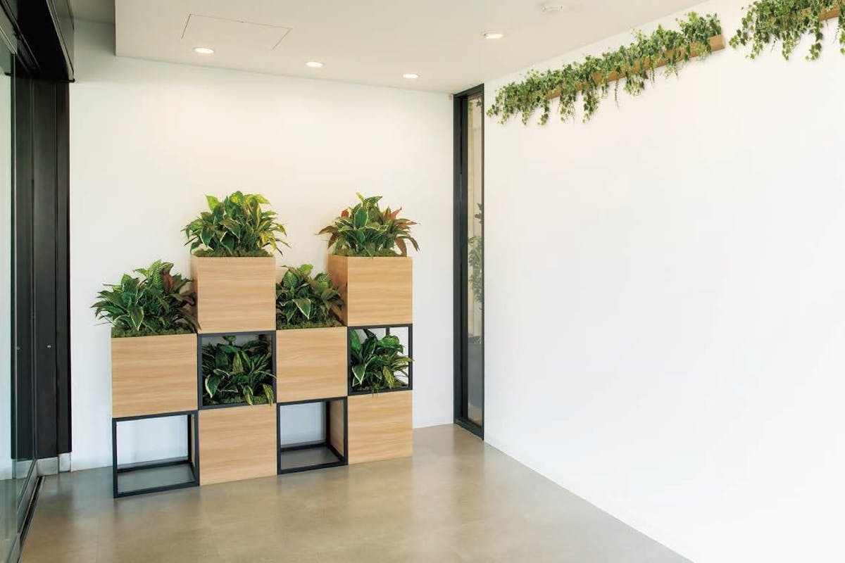 フェイクグリーン