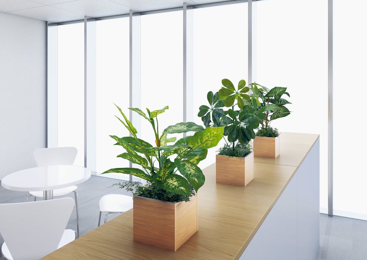 オフィス　フェイクグリーン