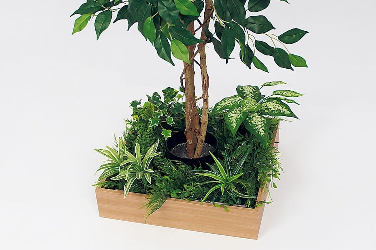 テーブル樹木_詳細