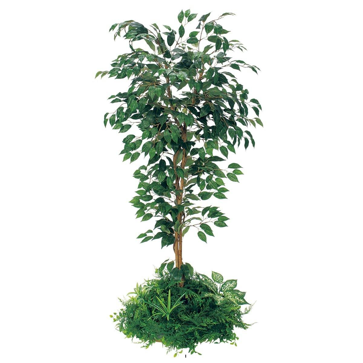 テーブル樹木_円タイプ_