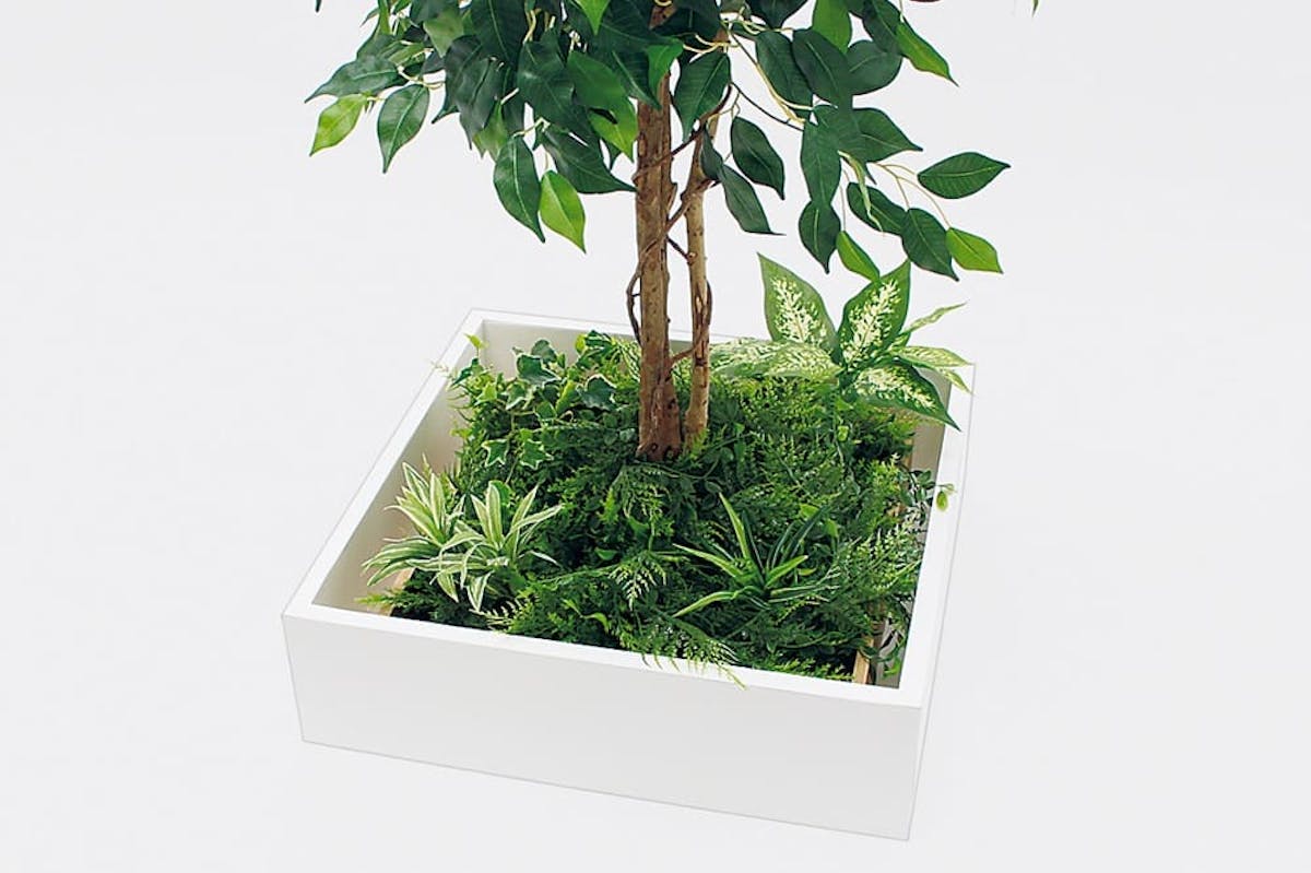 テーブル樹木_角タイプ_詳細写真